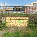 160428_Smeral_52