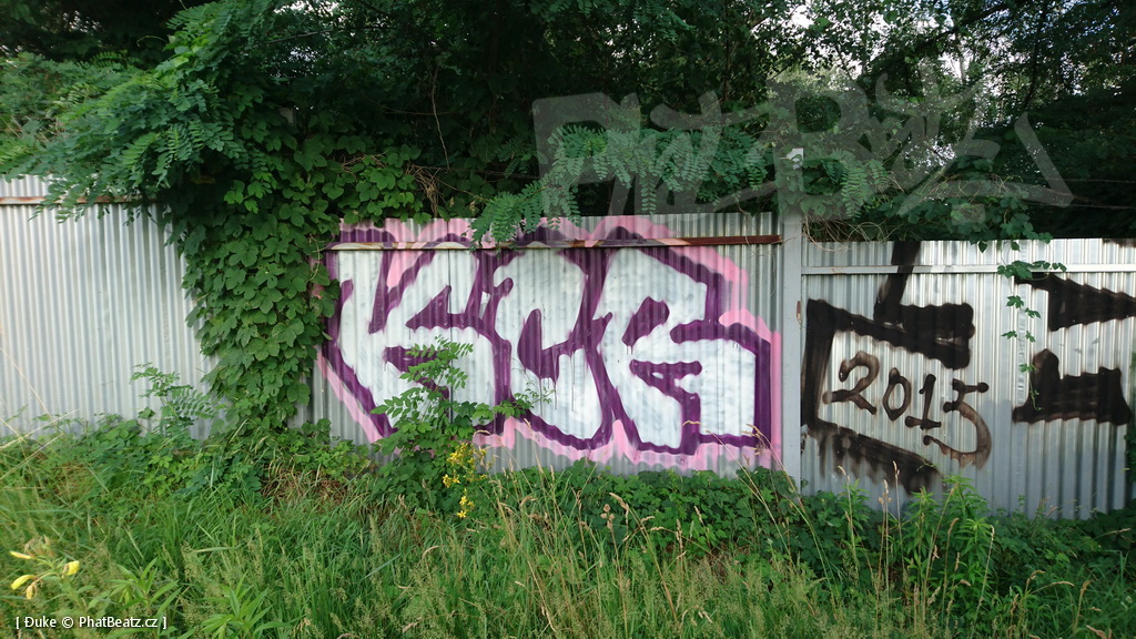 160701_Sutka_09