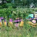 160701_Sutka_13