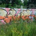 160701_Sutka_14