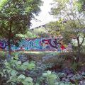 160702_RakoJam_34