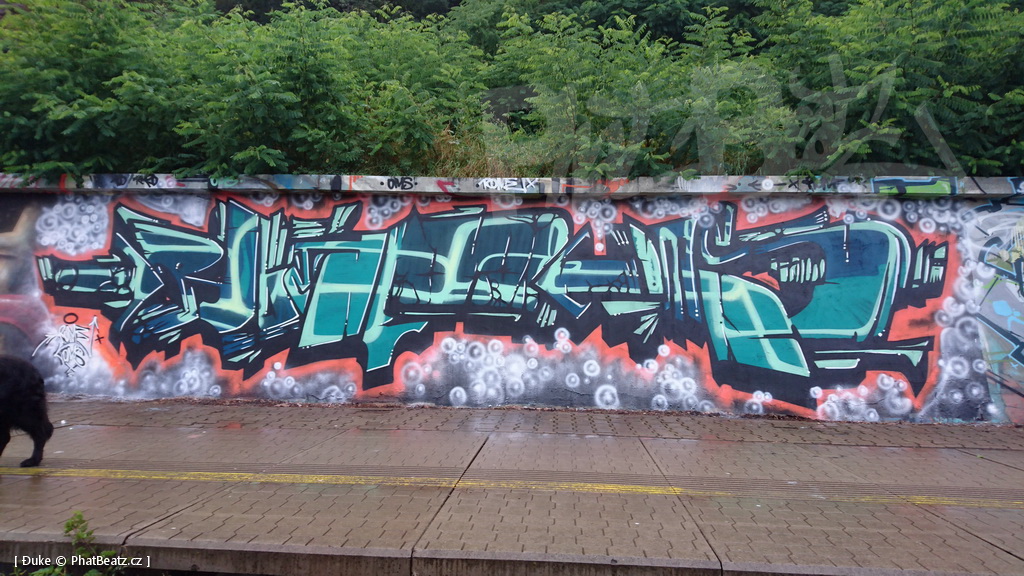 160717_Rez_21