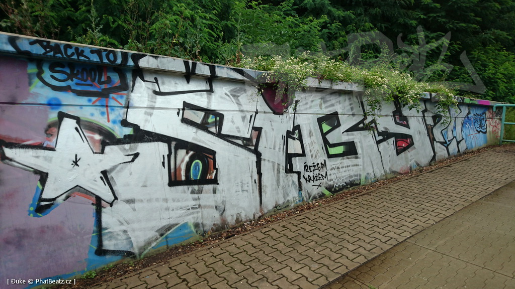 160717_Rez_29