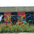 160910_Lysa_05