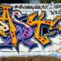 16dosta80804