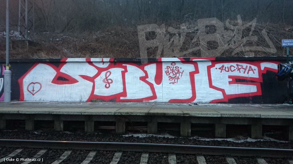 170204_Rez_02