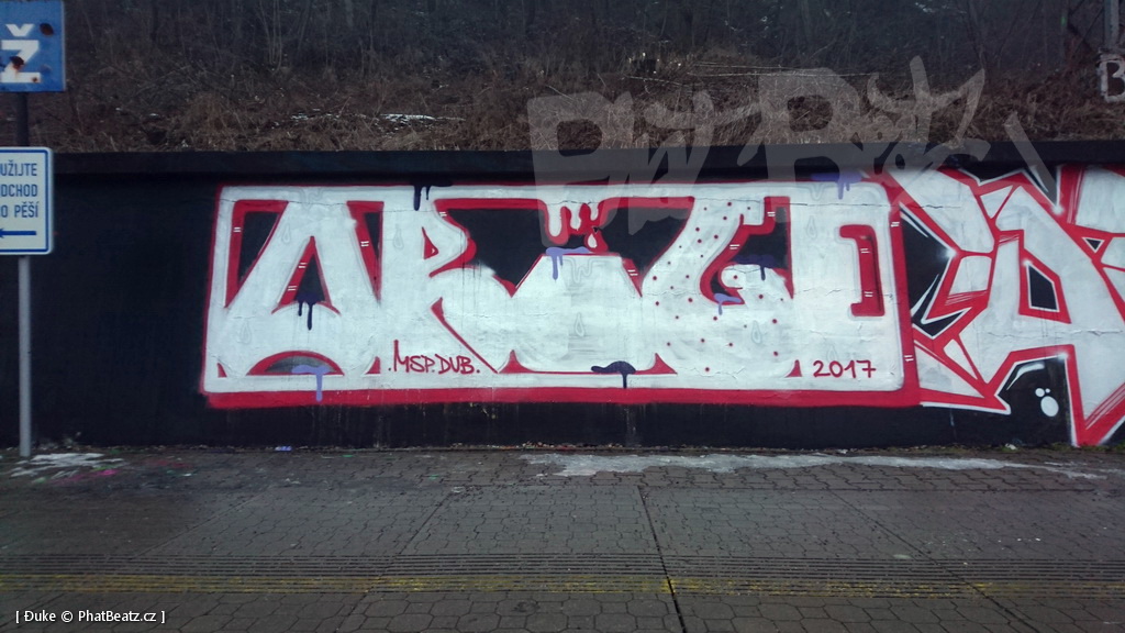 170204_Rez_06