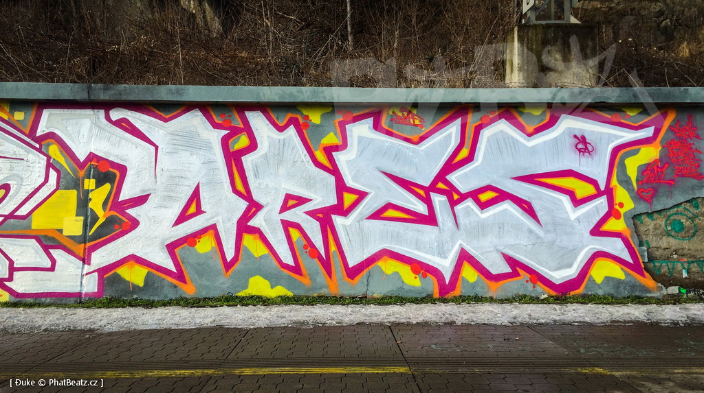 170204_Rez_18