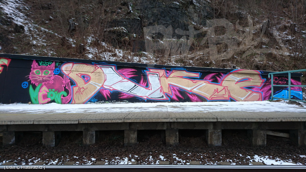 170204_Rez_21
