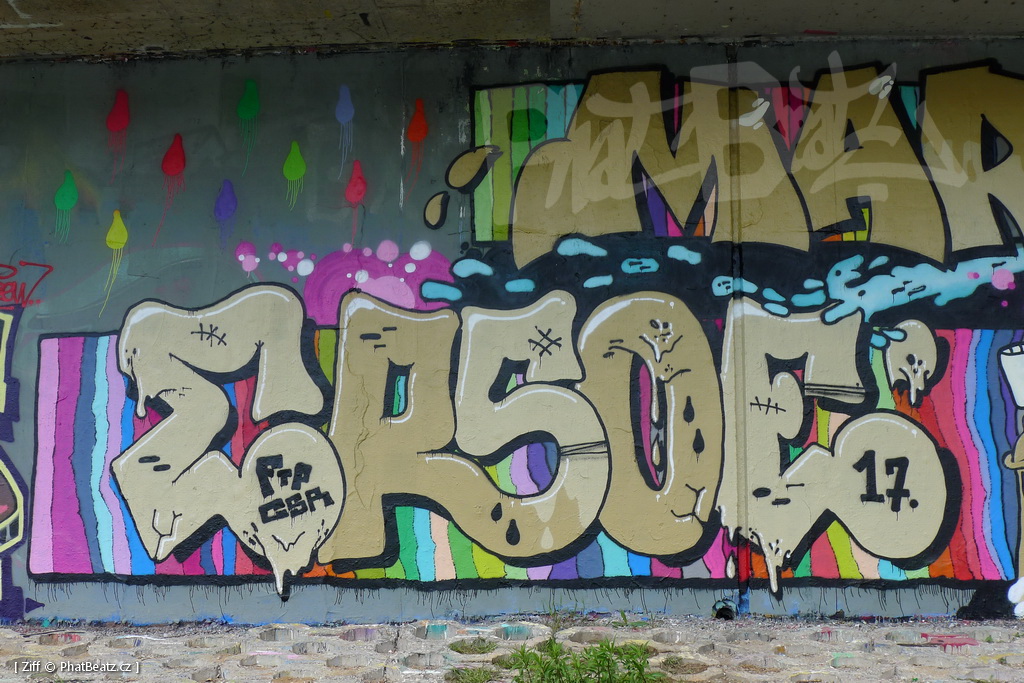 170429_LoopGrafficonKam_013