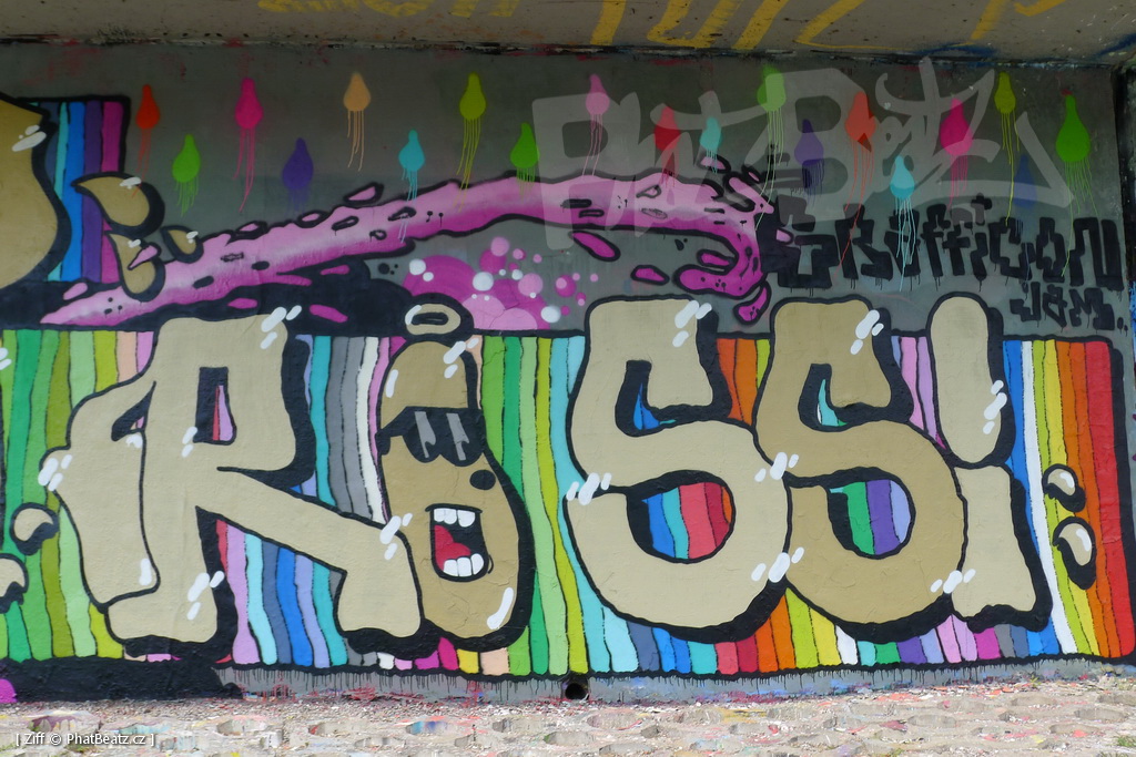 170429_LoopGrafficonKam_016