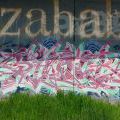 170429_LoopGrafficonKam_042