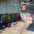 170429_LoopGrafficonKam_052