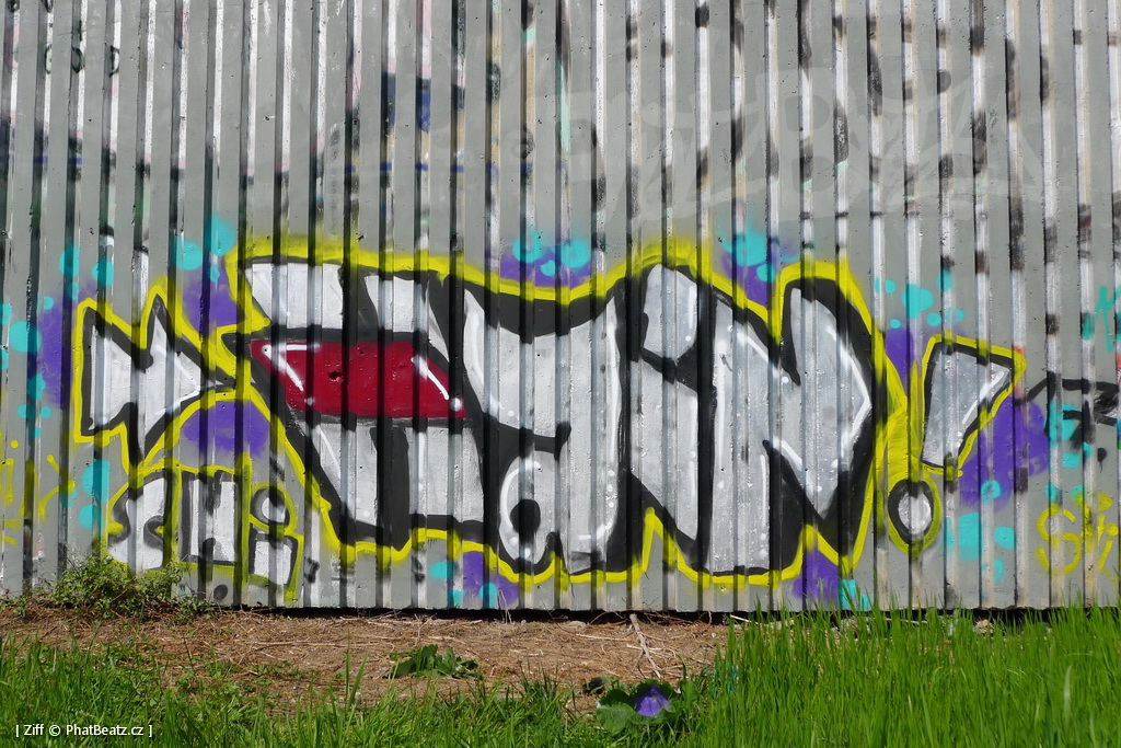 170429_LoopGrafficonKam_058