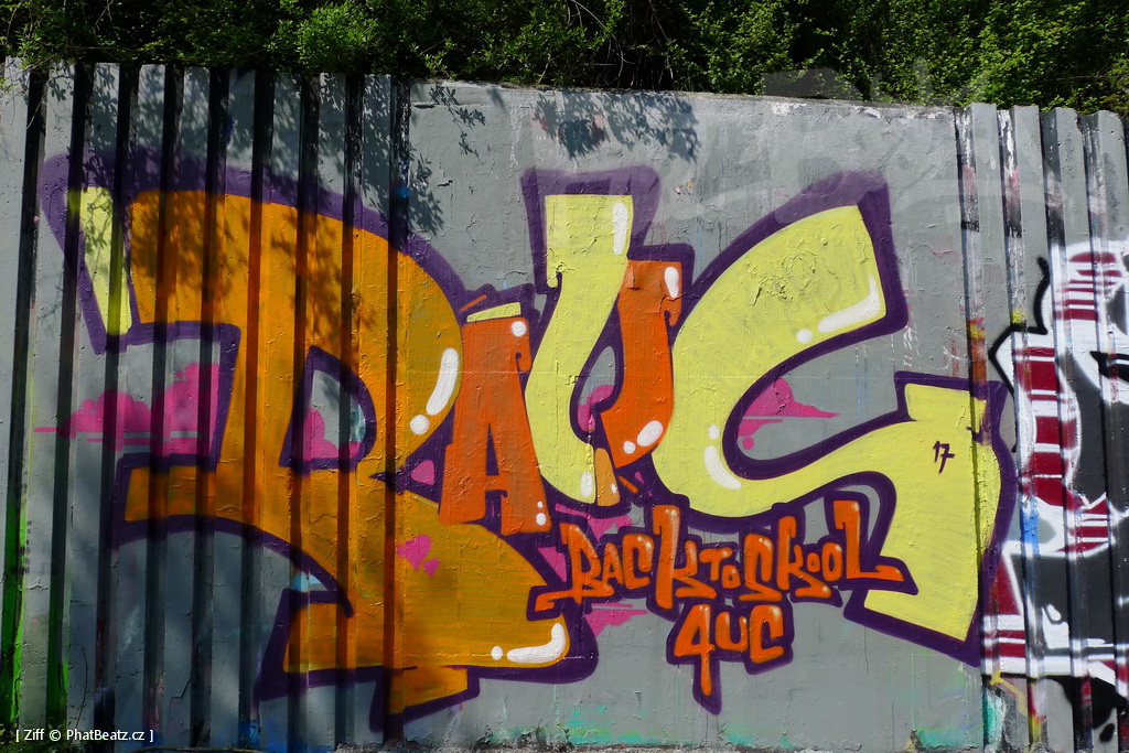 170429_LoopGrafficonKam_073