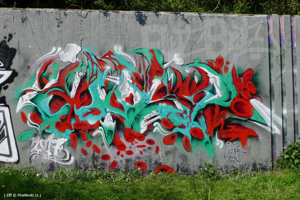 170429_LoopGrafficonKam_076