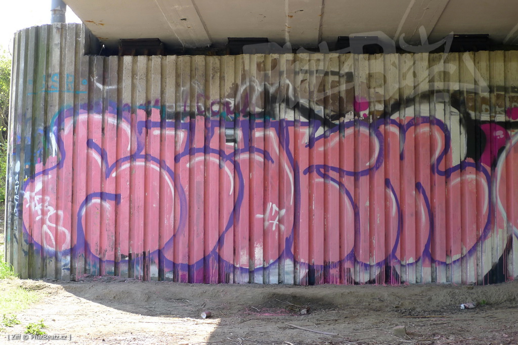 170429_LoopGrafficonKam_083