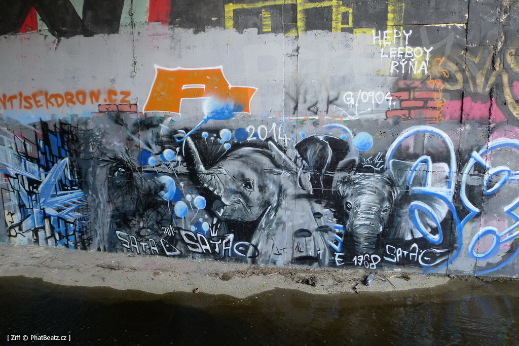 170429_LoopGrafficonKam_094