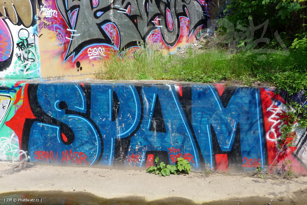 170429_LoopGrafficonKam_132