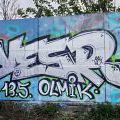 170506_PantograffitiSmeral_45
