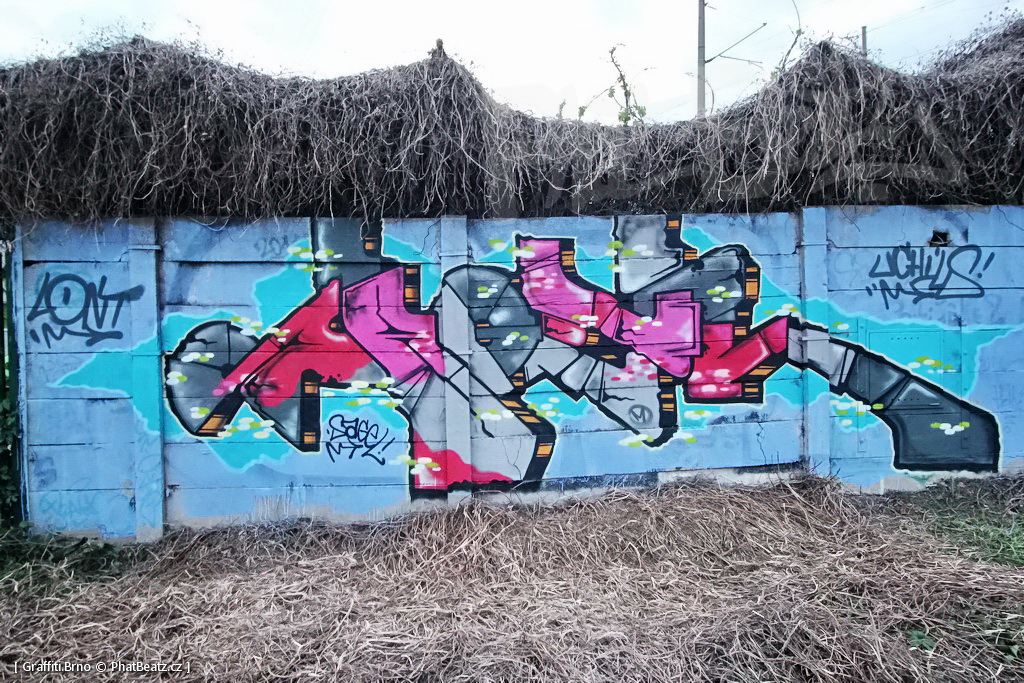 170506_PantograffitiSmeral_95