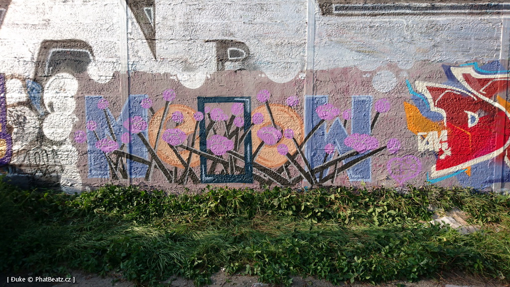 171014_Lysa_10