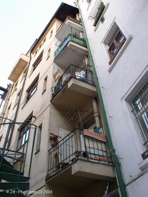 17todeyvystava
