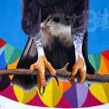 1803_Bakalarte2018_09
