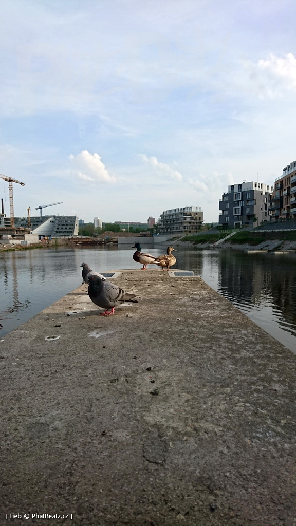 180422_Liben_14