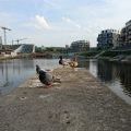 180422_Liben_14