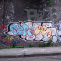 1805-07_Bronx_TUPS_010