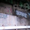 1805-07_Bronx_TUPS_053