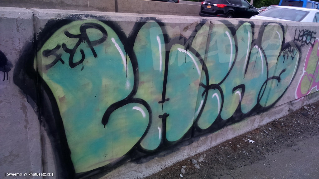 1805-07_Bronx_TUPS_074