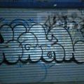 1805-07_Bronx_TUPS_129