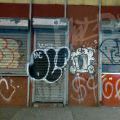 1805-07_Bronx_TUPS_148