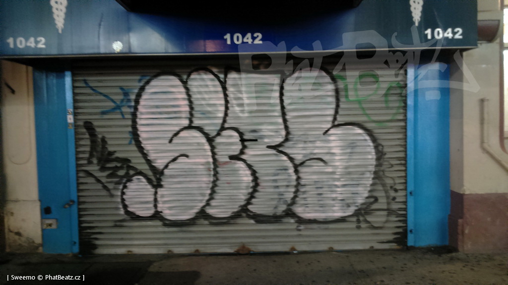 1805-07_Bronx_TUPS_204