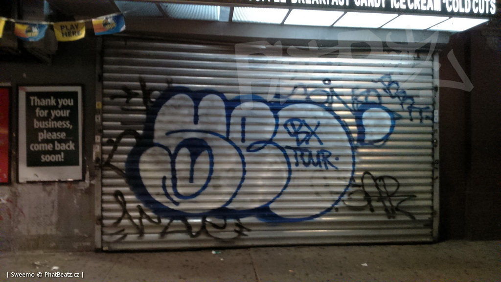 1805-07_Bronx_TUPS_206