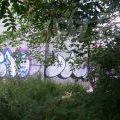 1805-07_Bronx_TUPS_213