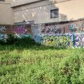 1806-07_NYC_Queens_35
