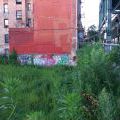 1806_Bronx_STREET_104