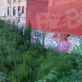 1806_Bronx_STREET_106