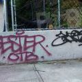 1806_Bronx_TAGS_004