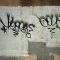 1806_Bronx_TAGS_022