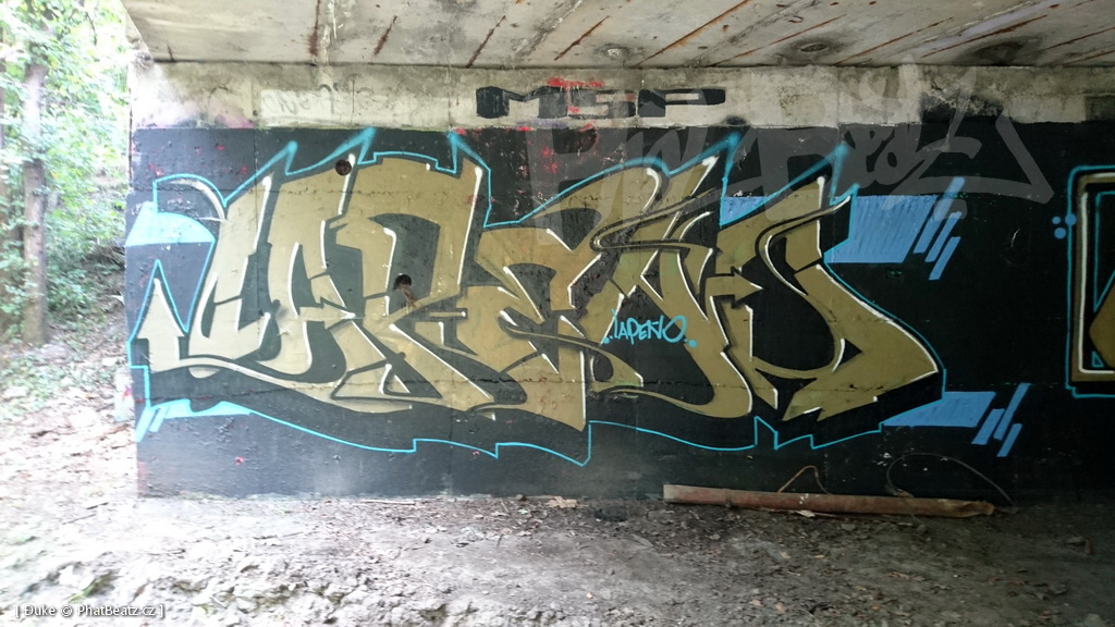 180721_StaraBoleslav_09