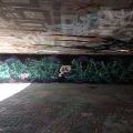 180830_Stuttgarrt_10