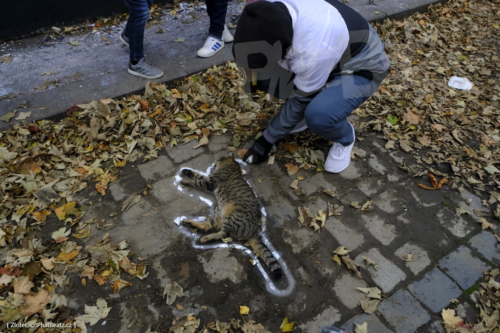 181027_Cheb_03