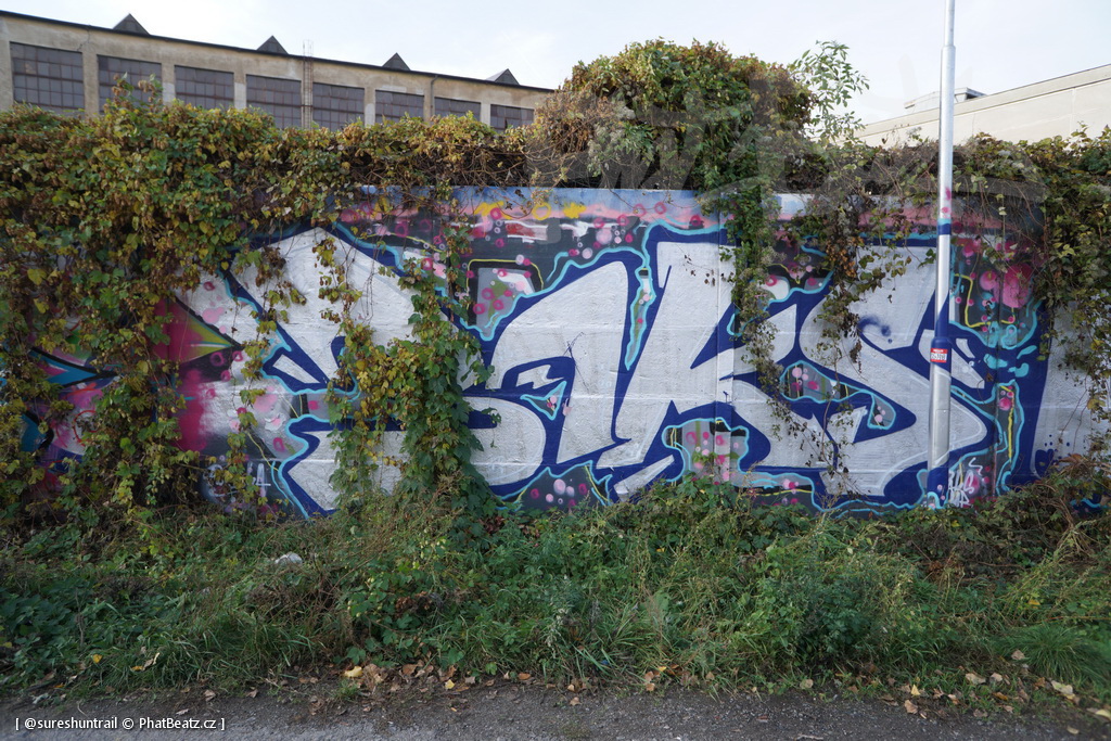 181105_Krenka_50