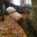 181110_Jablonec_04