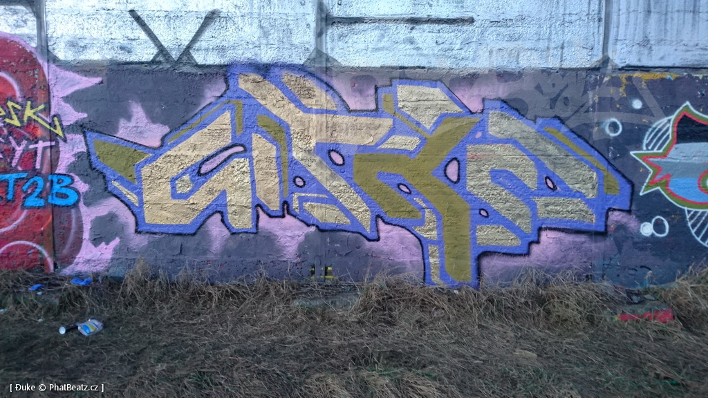 190119_Lysa_10