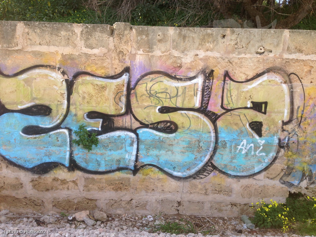 190130_Mallorca_028